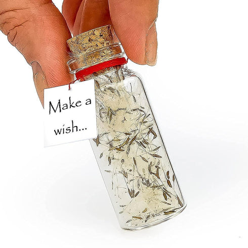 Tiny Magical Message in a Bottle Gift Idea Classy Inspirational Gifts for Him and Her Unique Presents for Women and Men (White Dandelion Make a Wish Gift Bottle)