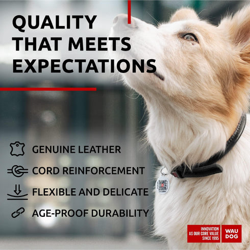 Ultra Soft Rolled Leather Dog Collar for Small Dogs Soft Padded Dog Collars for Medium Dogs Puppy Collars for Large Breed Dogs Male and Female Dog Collar