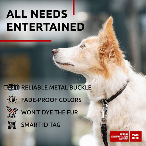 Ultra Soft Rolled Leather Dog Collar for Small Dogs Soft Padded Dog Collars for Medium Dogs Puppy Collars for Large Breed Dogs Male and Female Dog Collar