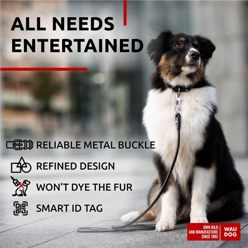 Ultra Soft Rolled Leather Dog Collar for Small Dogs Soft Padded Dog Collars for Medium Dogs Puppy Collars for Large Breed Dogs Male and Female Dog Collar