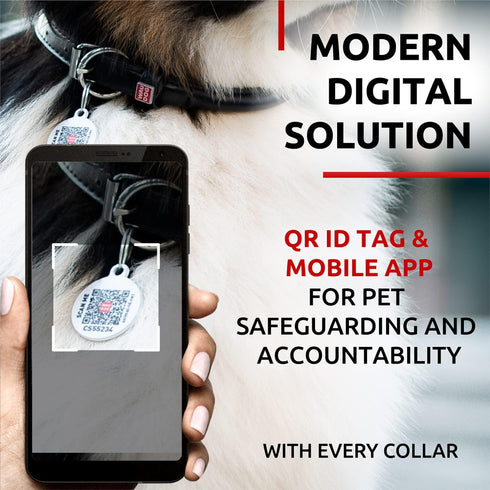 Ultra Soft Rolled Leather Dog Collar for Small Dogs Soft Padded Dog Collars for Medium Dogs Puppy Collars for Large Breed Dogs Male and Female Dog Collar