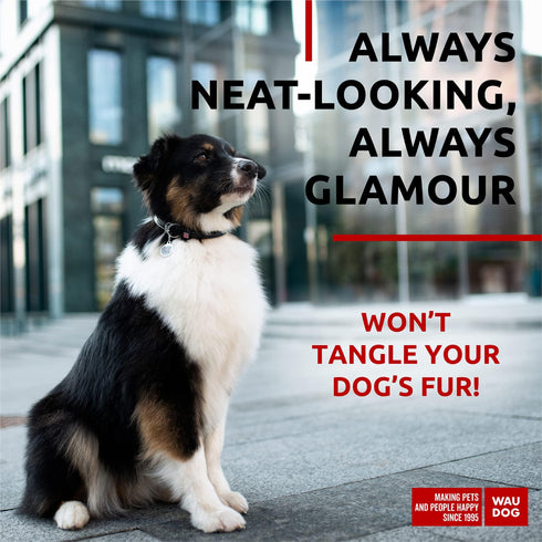 Ultra Soft Rolled Leather Dog Collar for Small Dogs Soft Padded Dog Collars for Medium Dogs Puppy Collars for Large Breed Dogs Male and Female Dog Collar