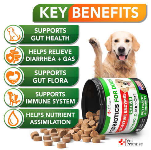 Probiotics for Dogs Dog Probiotics and Digestive Enzymes for Gut Health Itchy Skin Allergies Immunity Yeast Balance Prebiotics Reduce Diarrhea Gas 120 Probiotic Chews for Dogs USA Made