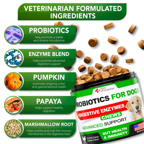 Probiotics for Dogs Dog Probiotics and Digestive Enzymes for Gut Health Itchy Skin Allergies Immunity Yeast Balance Prebiotics Reduce Diarrhea Gas 120 Probiotic Chews for Dogs USA Made