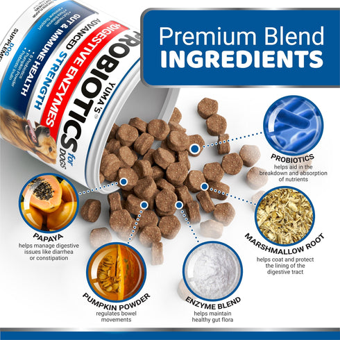 Probiotics for Dogs and Digestive Enzymes 170 Dog Probiotics Chews Pet Fiber Supplement Anti Diarrhea Upset Stomach & Gas Relief Constipation Canine Prebiotic Gut Health Treats USA Made