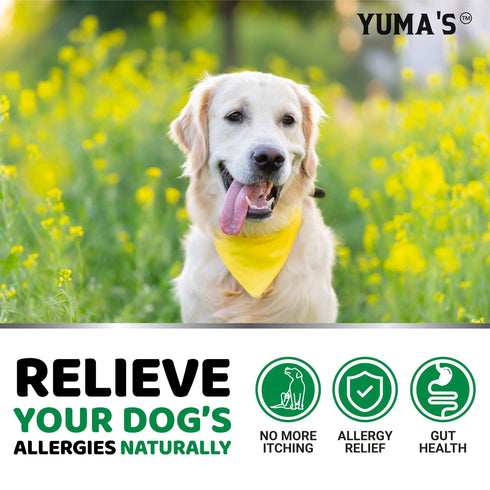YUMA'S Dog Allergy Relief Chews Dog Itching Skin Relief Treatment Pills 170 Treats Anti Itch for Dogs Itchy and Paw Licking Dry Skin & Hot Spots Omega 3 Fish Oil Skin & Coat Supplement