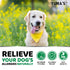 YUMA'S Dog Allergy Relief Chews Dog Itching Skin Relief Treatment Pills 170 Treats Anti Itch for Dogs Itchy and Paw Licking Dry Skin & Hot Spots Omega 3 Fish Oil Skin & Coat Supplement