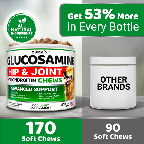 Glucosamine for Dogs Hip and Joint Supplement for Dogs 170 Ct Glucosamine Chondroitin for Dogs Chews Dog Joint Pain Relief with MSM Advanced Dog Joint Supplement Health Mobility Support