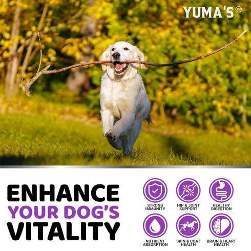 Dog Multivitamin Chewable with Glucosamine Dog Vitamins and Supplements 170 Treats Senior & Puppy Multivitamin for Dogs Hip & Joint Support Immune Health Skin Heart Digestion Probiotics